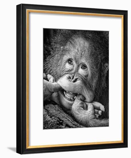 Big Smile.....Please-Angela Muliani Hartojo-Framed Photographic Print