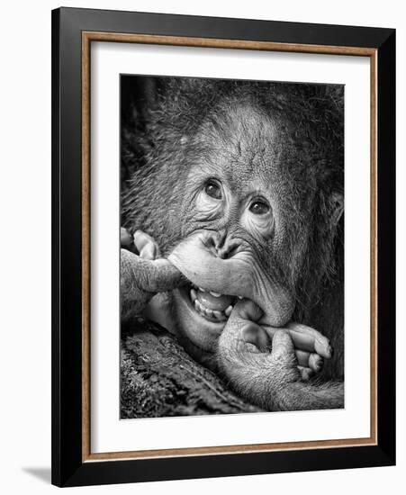 Big Smile.....Please-Angela Muliani Hartojo-Framed Photographic Print