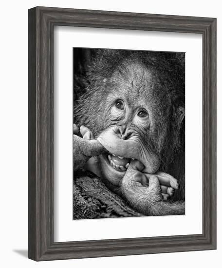 Big Smile.....Please-Angela Muliani Hartojo-Framed Photographic Print