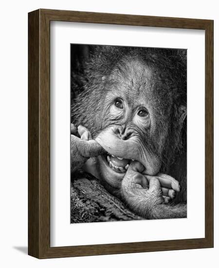 Big Smile.....Please-Angela Muliani Hartojo-Framed Photographic Print