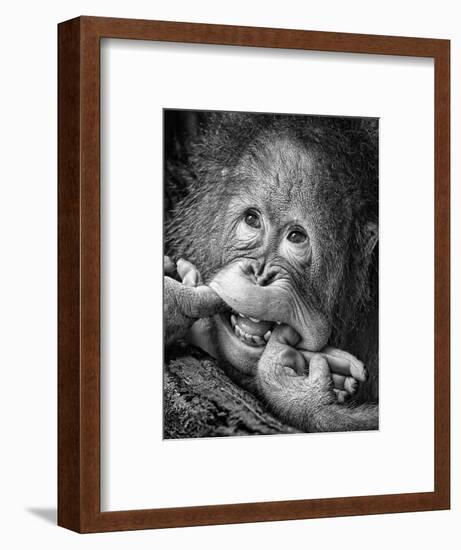 Big Smile.....Please-Angela Muliani Hartojo-Framed Photographic Print