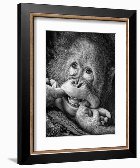 Big Smile.....Please-Angela Muliani Hartojo-Framed Photographic Print