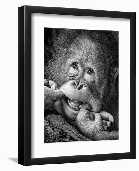 Big Smile.....Please-Angela Muliani Hartojo-Framed Photographic Print