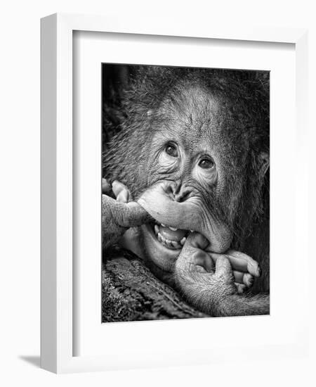 Big Smile.....Please-Angela Muliani Hartojo-Framed Photographic Print