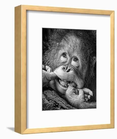 Big Smile.....Please-Angela Muliani Hartojo-Framed Photographic Print