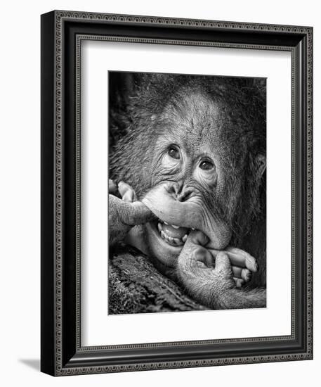 Big Smile.....Please-Angela Muliani Hartojo-Framed Photographic Print