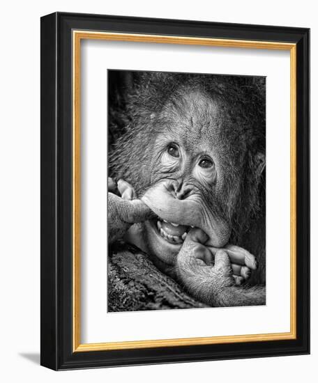 Big Smile.....Please-Angela Muliani Hartojo-Framed Photographic Print