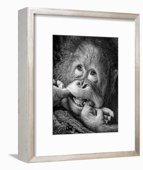 Big Smile.....Please-Angela Muliani Hartojo-Framed Photographic Print