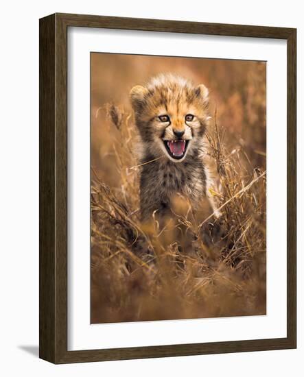 Big Smile-Ahmed Sobhi-Framed Photographic Print