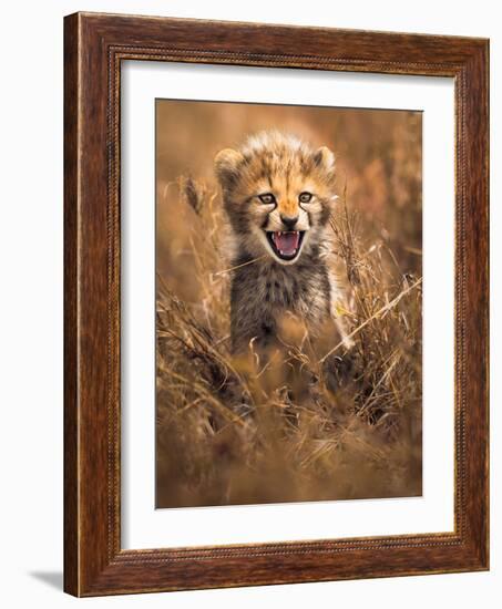 Big Smile-Ahmed Sobhi-Framed Photographic Print