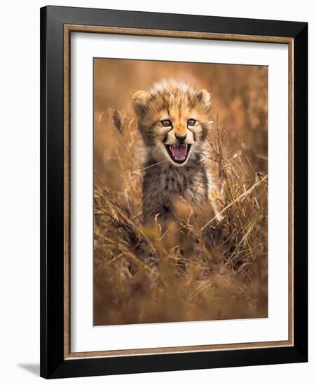 Big Smile-Ahmed Sobhi-Framed Photographic Print