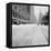 Big Snow-Andreas Feininger-Framed Premier Image Canvas