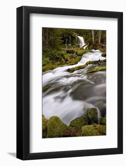 Big Spring Creek Falls, Gifford Pinchot National Forest, Washington, United States of America-James Hager-Framed Photographic Print