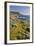 Big Sur, Cabrillo Highway 1, California, Usa-Rainer Mirau-Framed Photographic Print