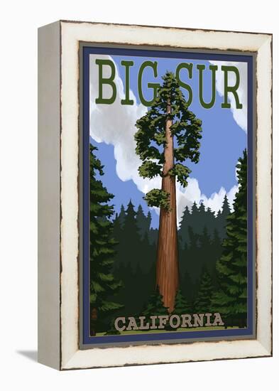 Big Sur, California - Redwood Tree-Lantern Press-Framed Stretched Canvas