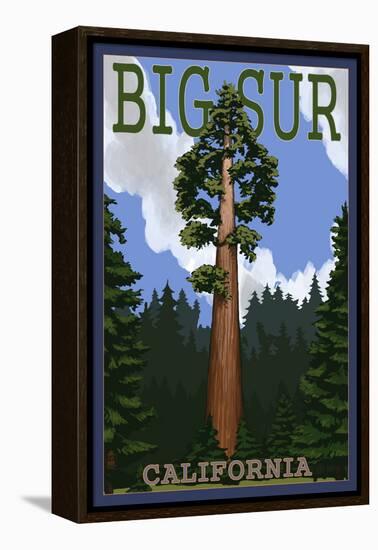 Big Sur, California - Redwood Tree-Lantern Press-Framed Stretched Canvas