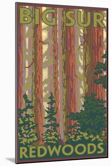 Big Sur, California - Redwoods-Lantern Press-Mounted Art Print