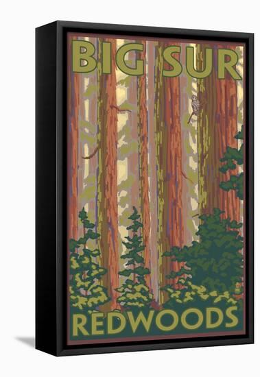 Big Sur, California - Redwoods-Lantern Press-Framed Stretched Canvas