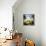 Big Sur Callas-Ursula Abresch-Framed Premier Image Canvas displayed on a wall