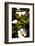 Big Sur Coast Lilies-George Oze-Framed Photographic Print