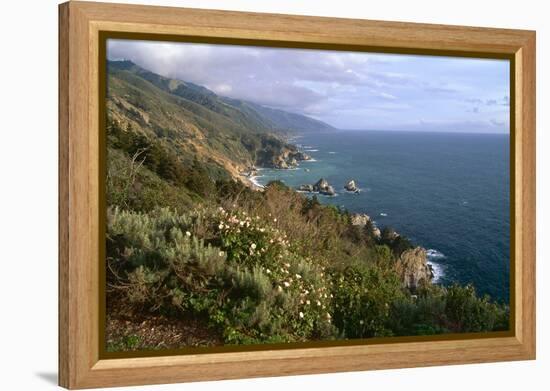 Big Sur Coast Springtime Vista, California-George Oze-Framed Premier Image Canvas