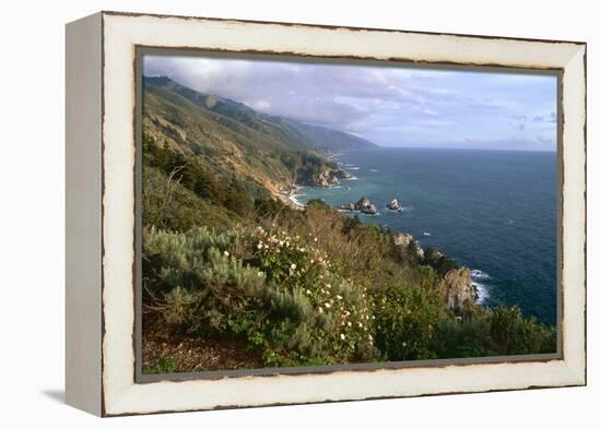 Big Sur Coast Springtime Vista, California-George Oze-Framed Premier Image Canvas