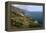 Big Sur Coast Springtime Vista, California-George Oze-Framed Premier Image Canvas