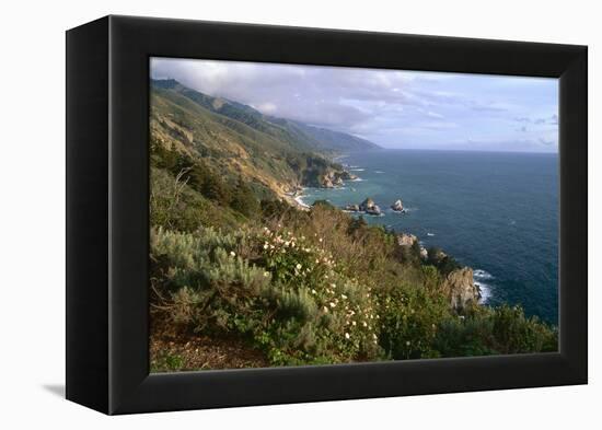 Big Sur Coast Springtime Vista, California-George Oze-Framed Premier Image Canvas