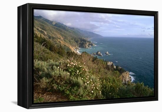 Big Sur Coast Springtime Vista, California-George Oze-Framed Premier Image Canvas