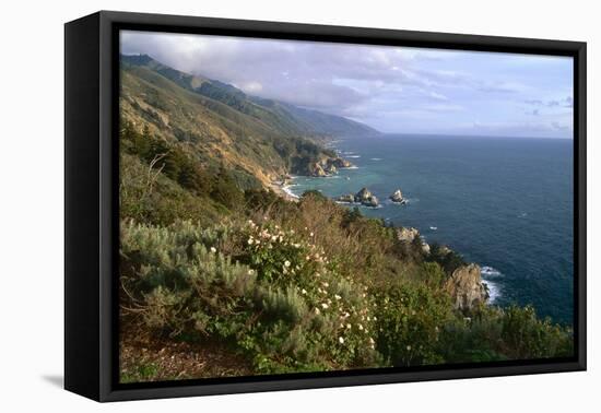 Big Sur Coast Springtime Vista, California-George Oze-Framed Premier Image Canvas