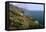 Big Sur Coast Springtime Vista, California-George Oze-Framed Premier Image Canvas