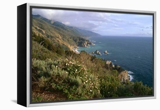 Big Sur Coast Springtime Vista, California-George Oze-Framed Premier Image Canvas