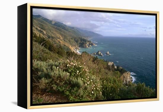 Big Sur Coast Springtime Vista, California-George Oze-Framed Premier Image Canvas