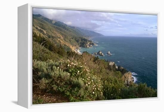 Big Sur Coast Springtime Vista, California-George Oze-Framed Premier Image Canvas