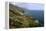 Big Sur Coast Springtime Vista, California-George Oze-Framed Premier Image Canvas