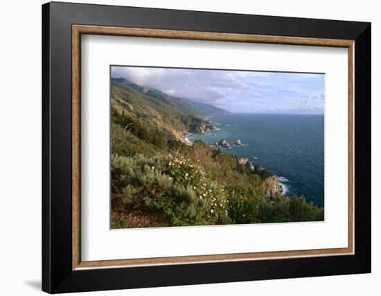 Big Sur Coast Springtime Vista, California-George Oze-Framed Photographic Print