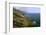 Big Sur Coast Springtime Vista, California-George Oze-Framed Photographic Print