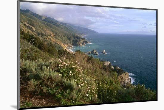 Big Sur Coast Springtime Vista, California-George Oze-Mounted Photographic Print