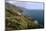 Big Sur Coast Springtime Vista, California-George Oze-Mounted Photographic Print