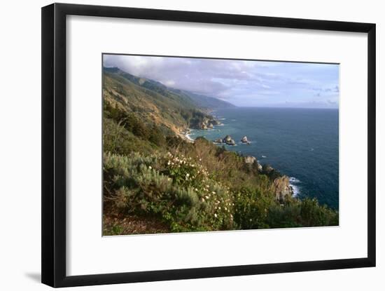 Big Sur Coast Springtime Vista, California-George Oze-Framed Photographic Print