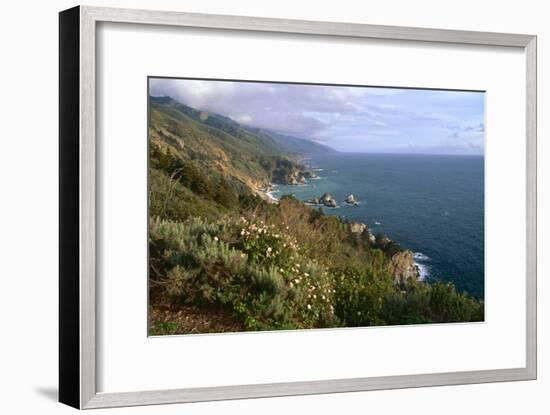 Big Sur Coast Springtime Vista, California-George Oze-Framed Photographic Print