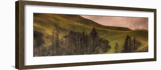 Big Sur Hillside Serenade-Vincent James-Framed Photographic Print