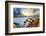 Big Sur Pacific Ocean Coast at Sunset-sborisov-Framed Photographic Print