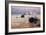 Big Sur Splash-Vincent James-Framed Photographic Print