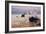 Big Sur Splash-Vincent James-Framed Photographic Print