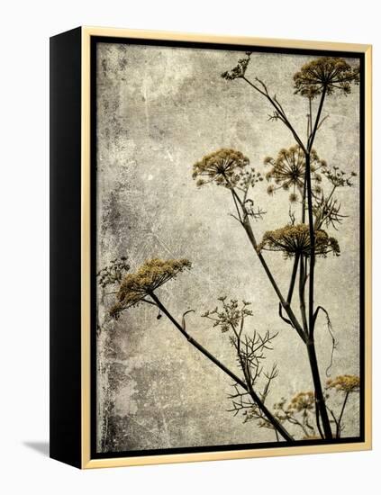 Big Sur Yarrow I-Honey Malek-Framed Stretched Canvas