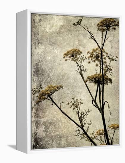 Big Sur Yarrow I-Honey Malek-Framed Stretched Canvas