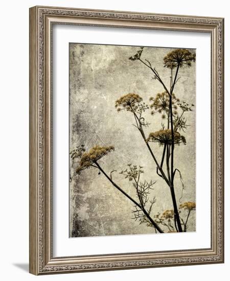 Big Sur Yarrow I-Honey Malek-Framed Art Print