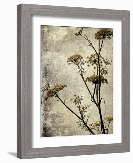 Big Sur Yarrow I-Honey Malek-Framed Art Print