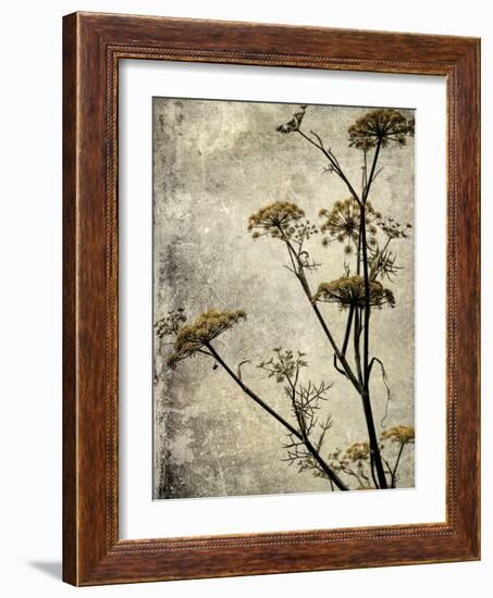 Big Sur Yarrow I-Honey Malek-Framed Art Print